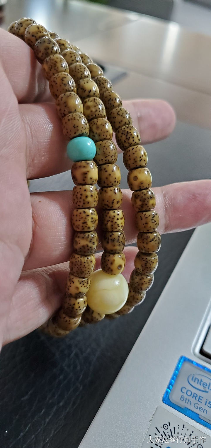最近的新宠_珠串菩提子
