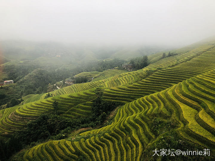 元阳梯田_景色