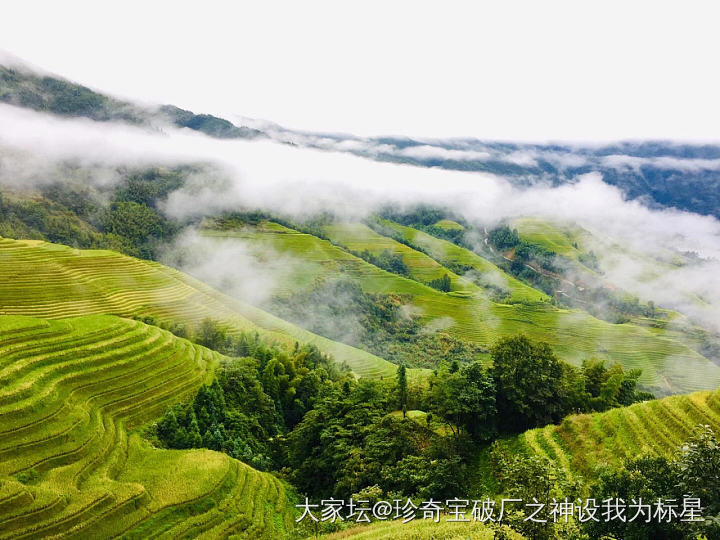 妞写的西街梯田日记


虽然还在读大班，可能是遗传爸爸的基因，有点搬文弄墨的小雅..._育教亲子