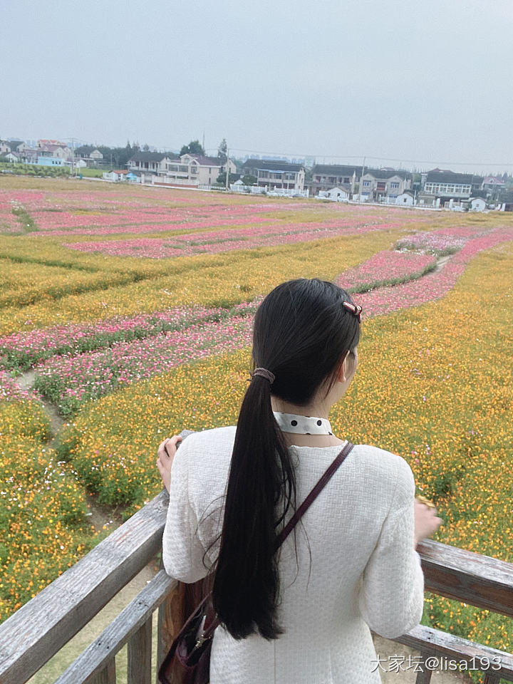 隔着屏幕都能闻到这秋日的清香[色]_花景色