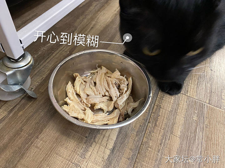 鸡胸肉是这样煮来给猫主子吃吗？_猫