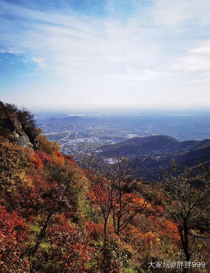 请假跑去看香山红叶🍁_景色