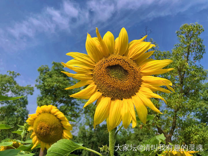 能提示一下双十一买什么吗？我想花点钱😁_闲聊交易讨论生活