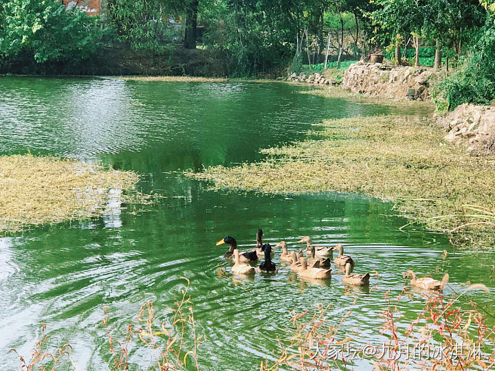 附近溜达一圈，秋天真美好_闲聊