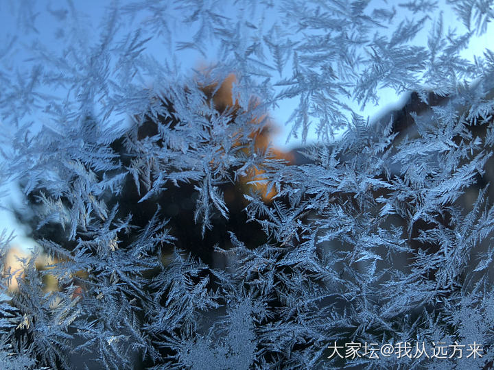 冰花，虽然不是饺子_景色