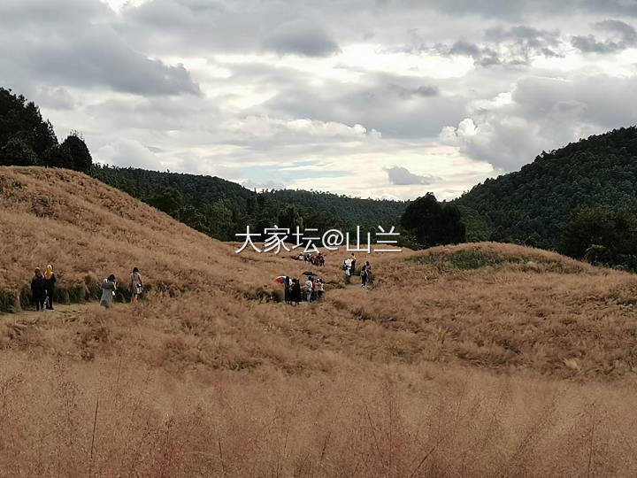 蒹葭苍苍，白露为霜_景色旅游