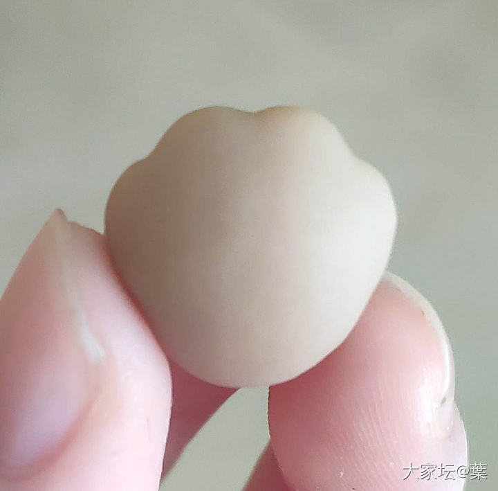 一只小精品喵爪子_戈壁玛瑙