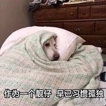 深夜开车没了兴致咋办_两性