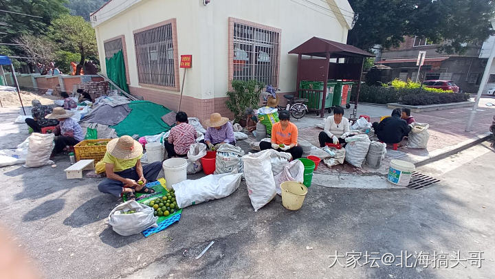 新会之行，陈皮之约_集散地