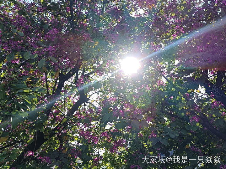 世间的美好都在于发现…