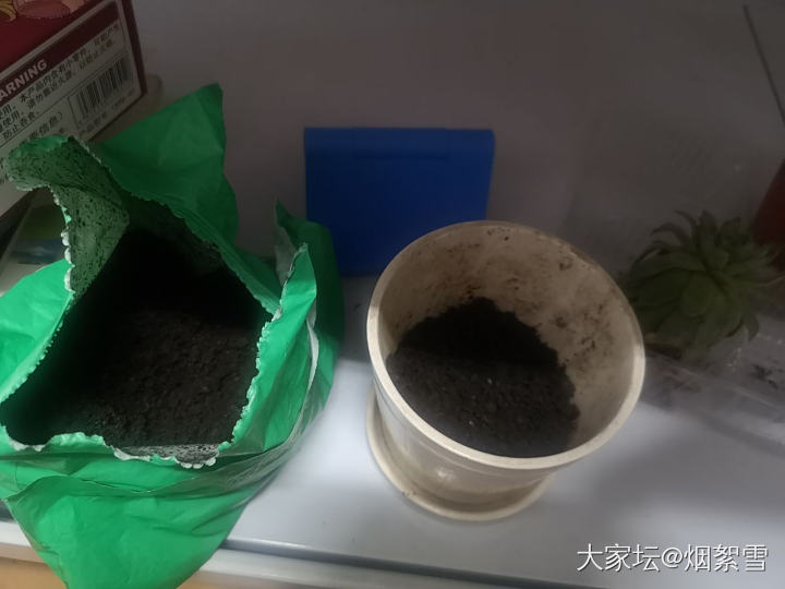 养个多肉_植物