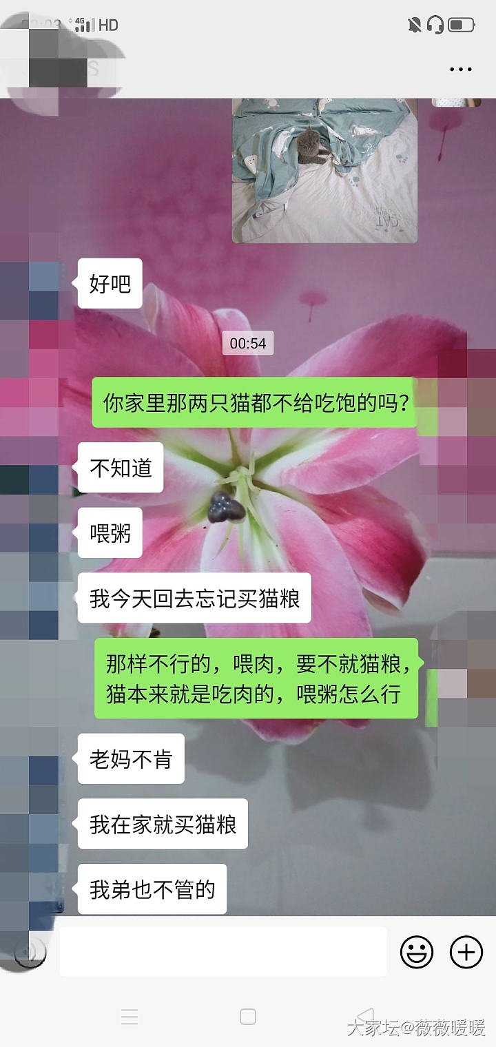 我真的好无语！_猫贴图闲聊