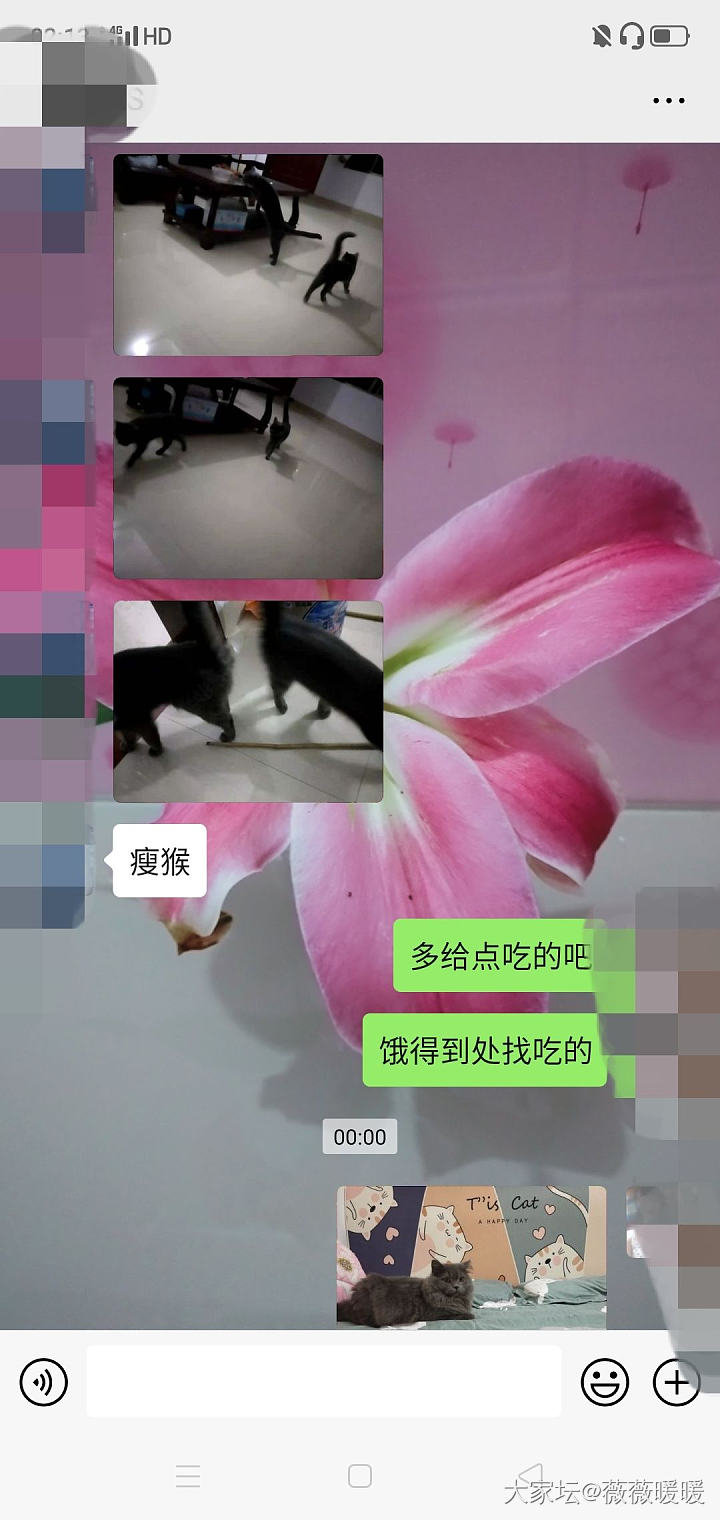 我真的好无语！_猫贴图闲聊