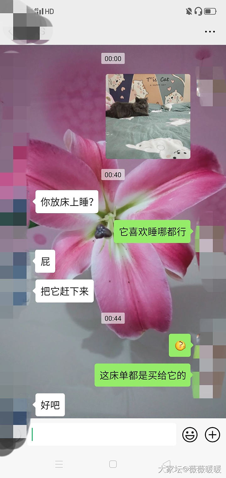 我真的好无语！_猫贴图闲聊