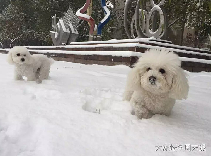 这是一个求金币的帖