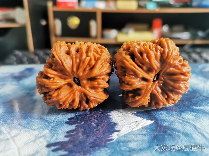 随身小宝贝！_核桃