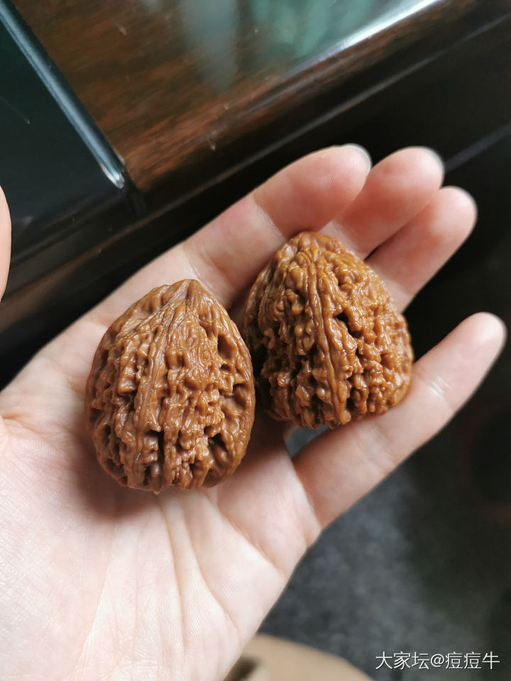 随身小宝贝！_核桃