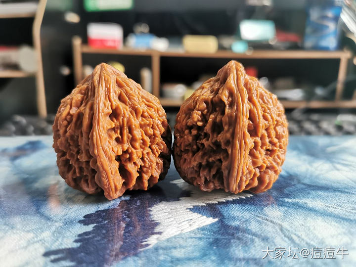 随身小宝贝！_核桃