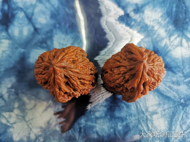 随身小宝贝！_核桃