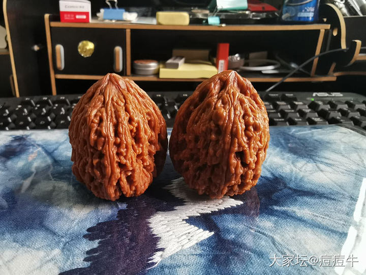 随身小宝贝！_核桃