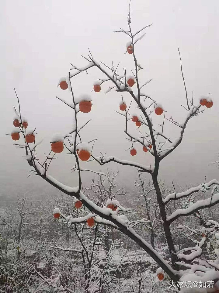 一起去踏雪吧_景色