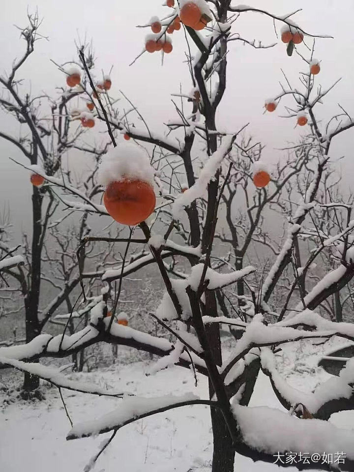 一起去踏雪吧_景色