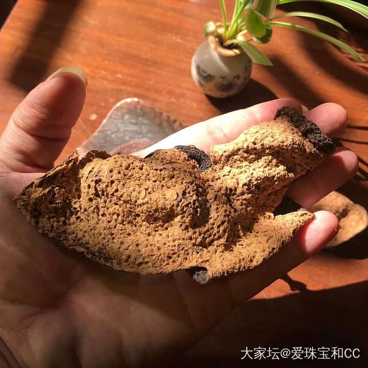 正宗新会老陈皮、陈皮普洱茶_美食