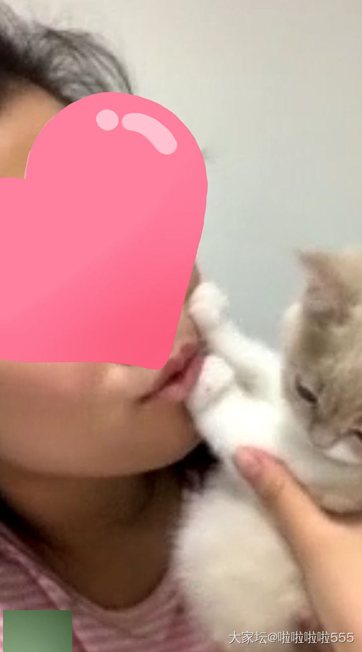 想亲亲可爱的小猫咪，结果他一脸抗拒🙈_猫