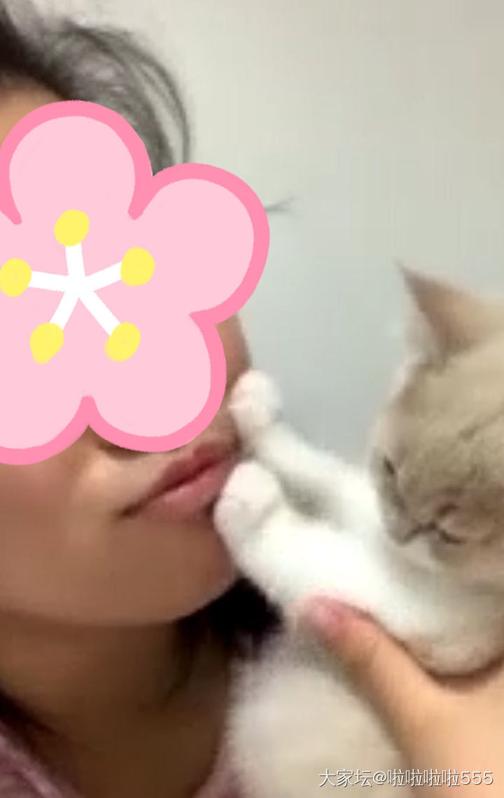 想亲亲可爱的小猫咪，结果他一脸抗拒🙈_猫