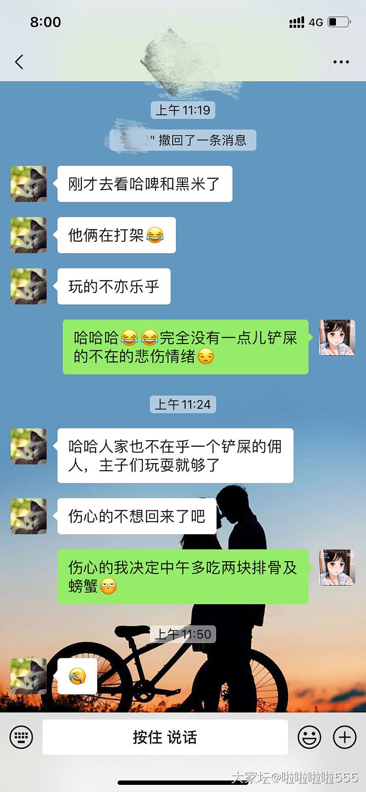 居然无视我这个铲屎的，我没在家他俩更嗨～😠_猫