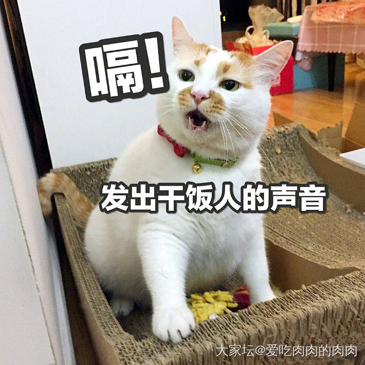 无情的产奶机器也会痛！
一周前刚生完儿子，虽说不是梦想中软萌的女儿，不过凑上他的...