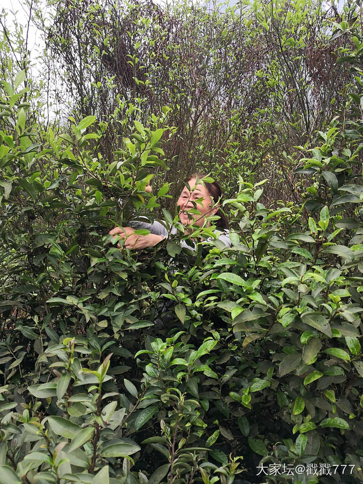 恭城油茶_美食