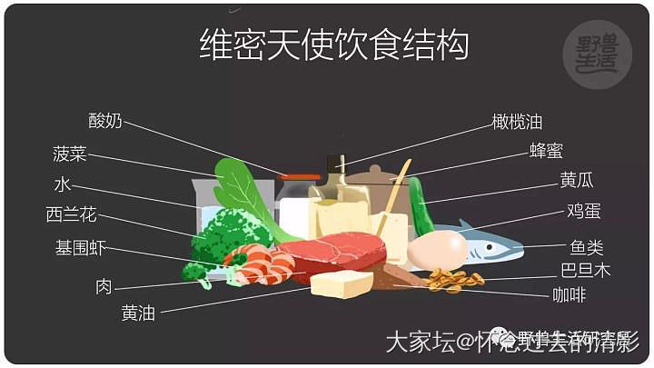 坚持运动 最好的动力就是爱上运动_运动