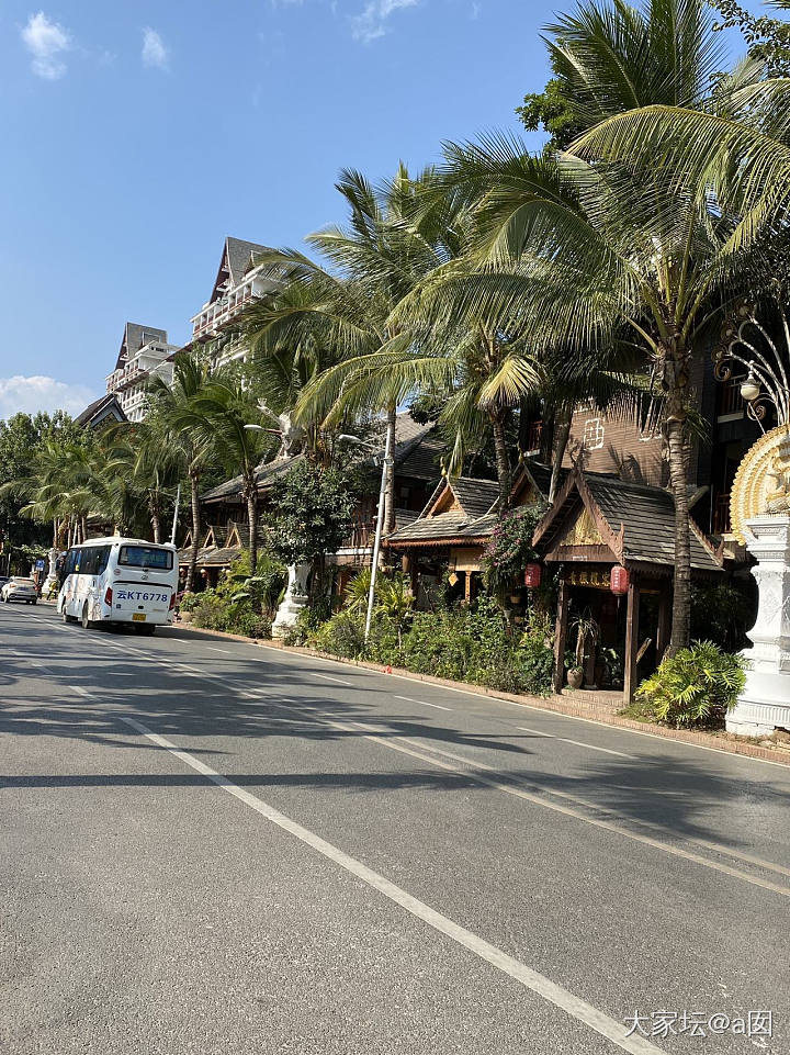 异域风情的版纳_旅游