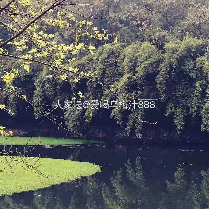 钓鱼城_摄影