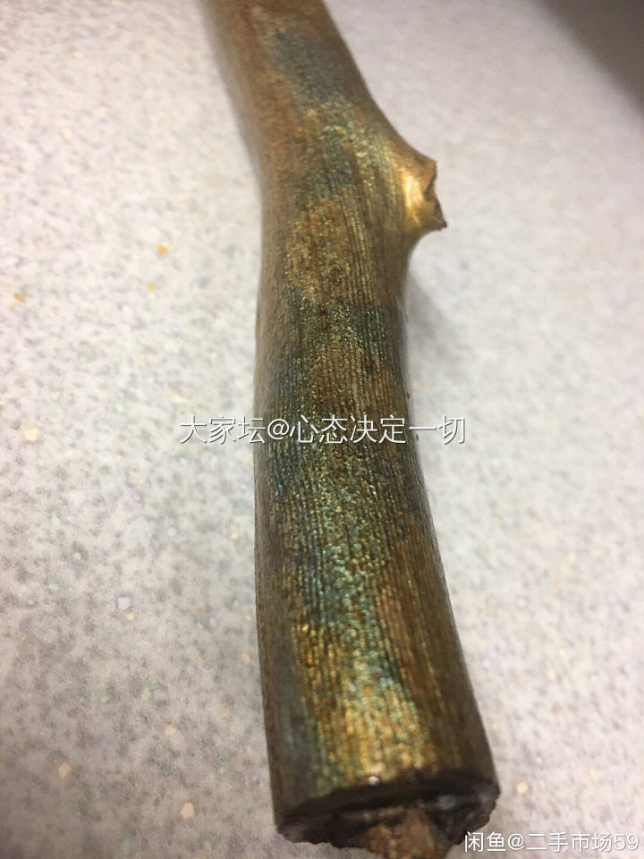 金珊瑚_有机宝石