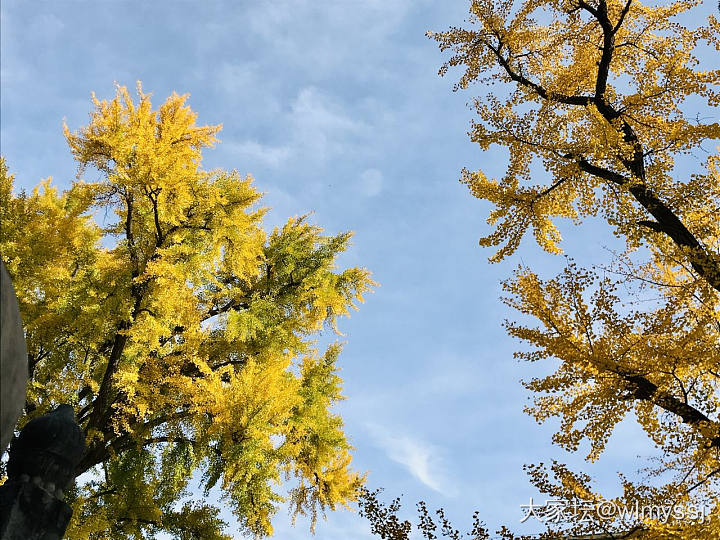 好久没来报道了，同志们好~