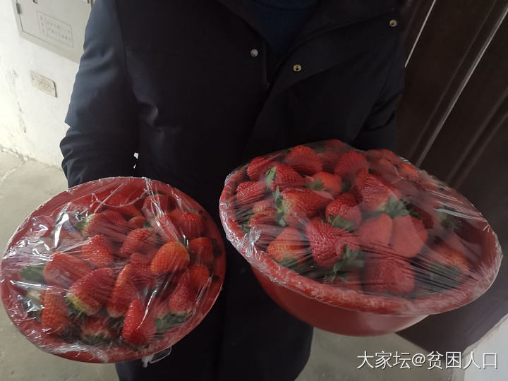 草莓自由_水果