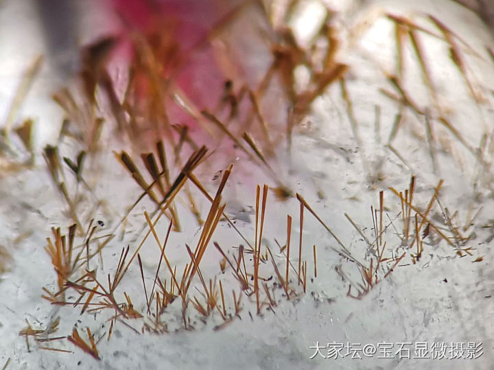 冰雪下的枯草|水晶_水晶
