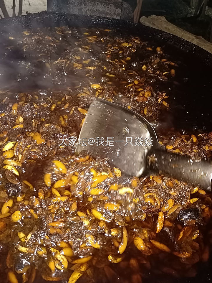 农村生活真逍遥。