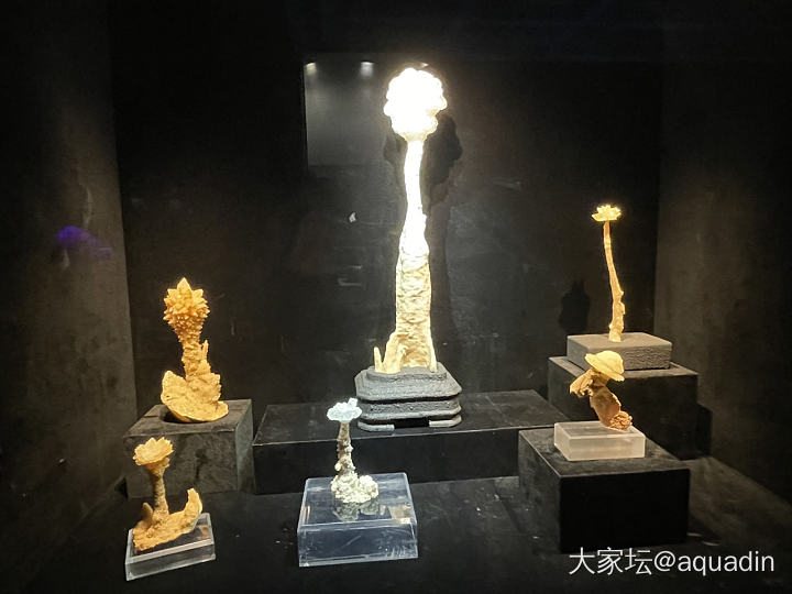 美丽的矿物_矿物标本博物馆