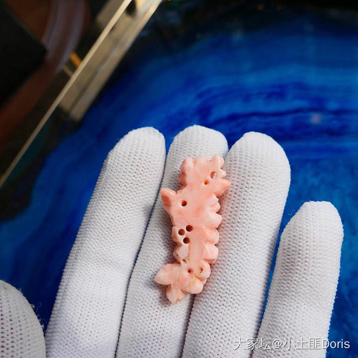 入手一只莫莫小可爱_花件珊瑚