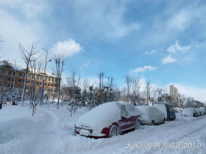 更新～雪窝烟台_景色