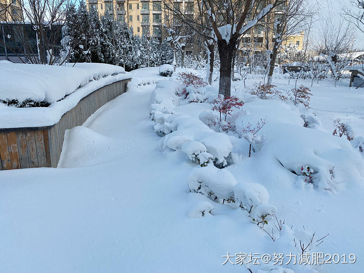 更新～雪窝烟台_景色