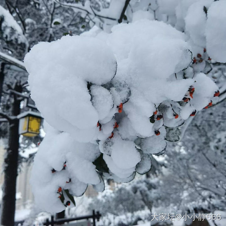 更新～雪窝烟台_景色