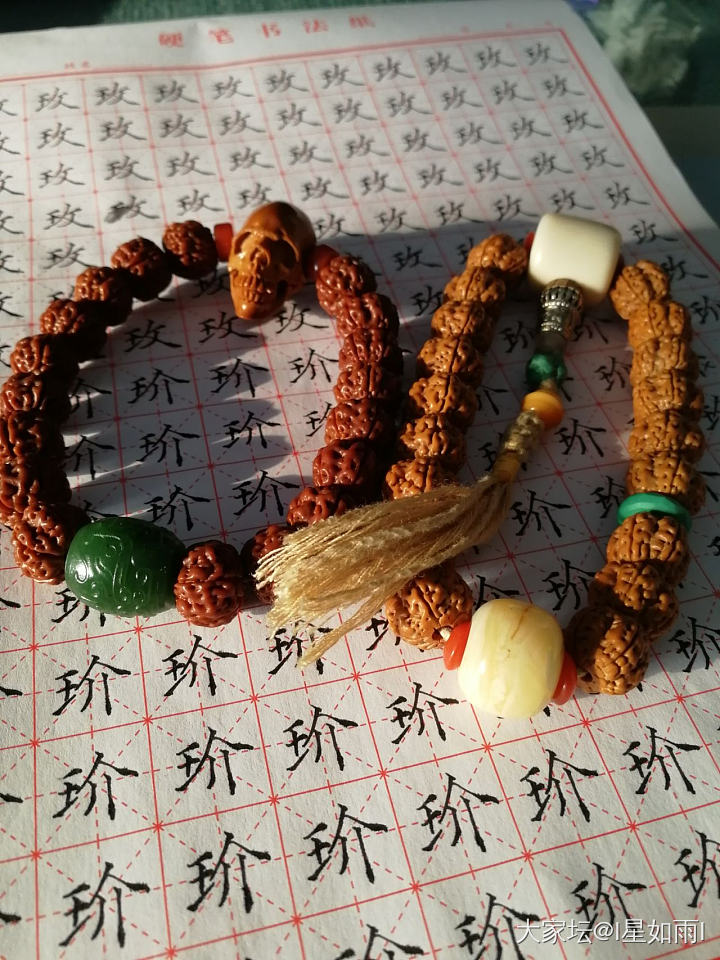 南瓜和花王_菩提子