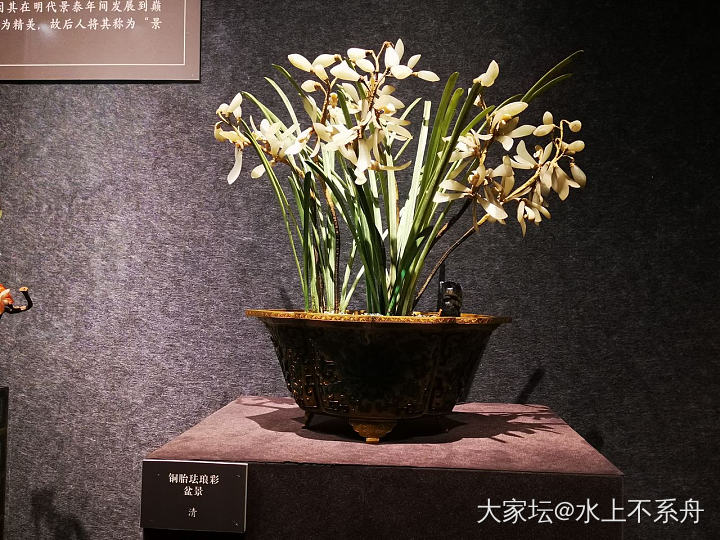周末看个展_少见宝石