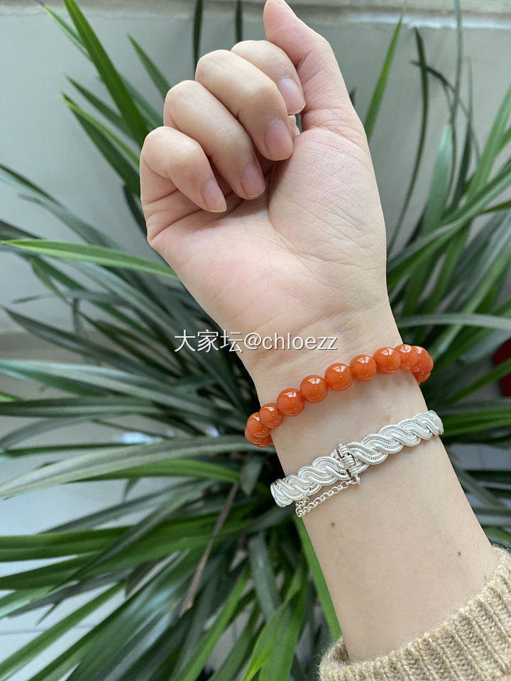 手腕OOTD
现在还只习惯左手戴东西
最近入坑银镯，订了一支张宝源的双尖
也许右...