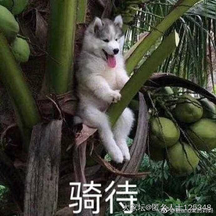求推荐好看的微信公众号_网络平台