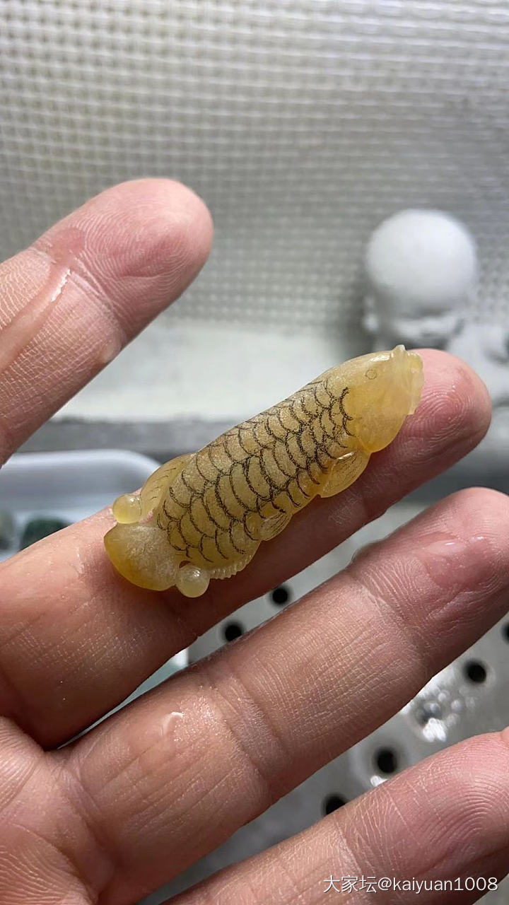 边角料试水—鱼_半成品翡翠